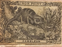 1900 YILLARDA BON POINT LE CAMELEON FRANSADA OKULDA SINIFDA BAŞARI GÖSTEREN TALEBELERE VERİLEN KART